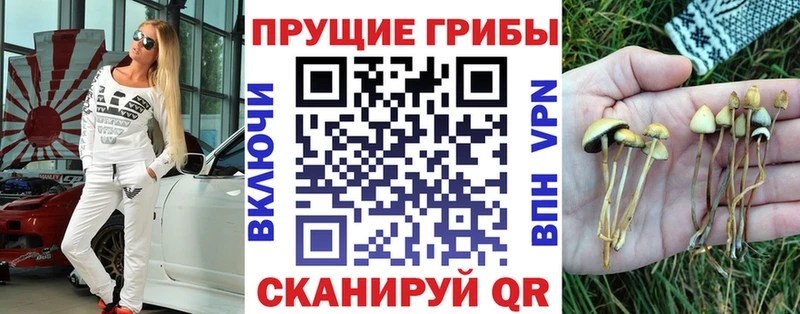 Псилоцибиновые грибы Magic Shrooms  Яхрома 